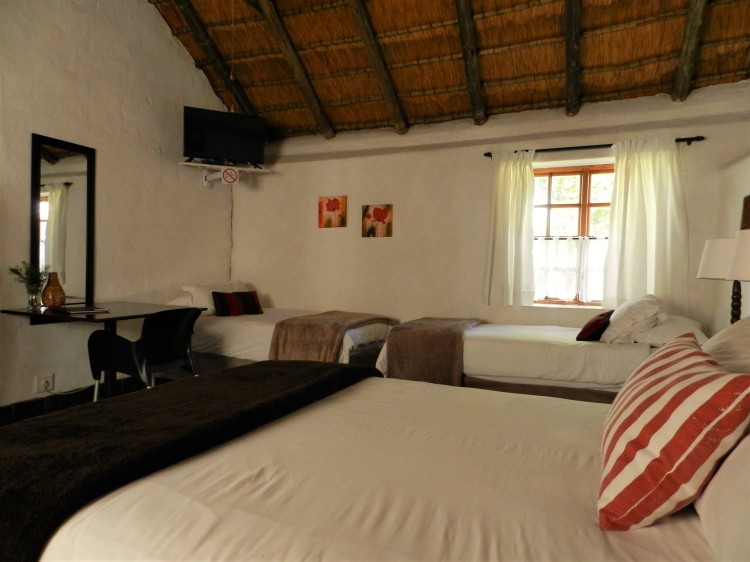 Susanna Room at the President Paul Kruger Guest Lodge with working desk and satellite television